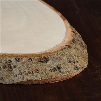 Спил осины, косой, слэб для декора, 55×24±2 см