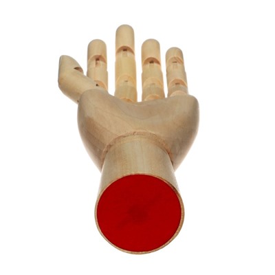 Модель деревянная «Рука», 25 см, женская, левая