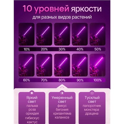 Светильник #23341219