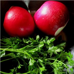 5076D Редька Китайская Барыня 1гр