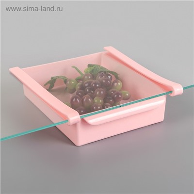Полка подвесная в холодильник, 22×20×7 см, МИКС