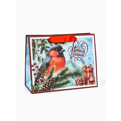 Пакет подарочный крафтовый, «С Новым Годом», 23×18×10 см