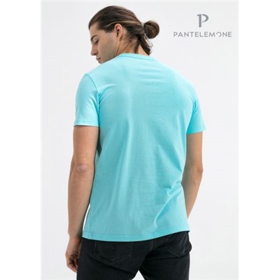 MF-913 (Футболка мужская, PanteLemone )