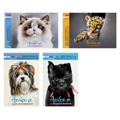 Альбом для рисования 40л на спирали "Глазки, ушки, носик" перфорация на отрыв (079780) Хатбер