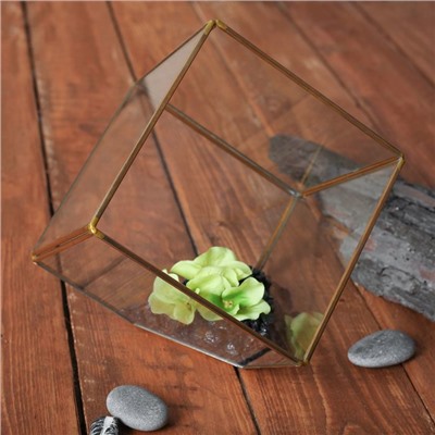 Флорариум каркас, 14.5×14.5 см, стекло, золото