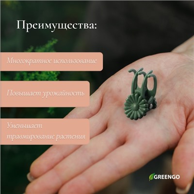 Клипса для растений «Цветок», набор 10 шт., зелёный