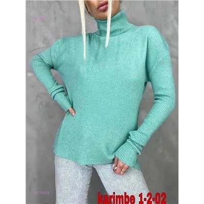 Водолазка 1827605-6