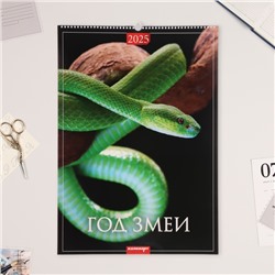 Календарь перекидной на ригеле А3 «Год Змеи» 2025, 42×60 см