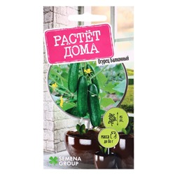 Семена "Растёт дома!" Огурец Балконный 5 шт.