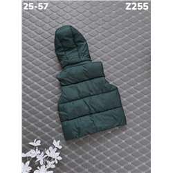 Жилет Z255 зеленый