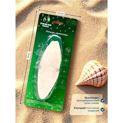 Панцирь каракатицы для птиц 13-15 см, белый