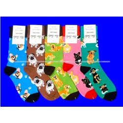 Nice Socks (AMIGOBS) ЦВЕТНЫЕ ВЫСОКИЕ НОСКИ на вешалке арт. 2208