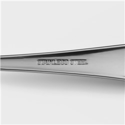 Ложка столовая из нержавеющей стали Доляна «Таун», длина 20.5 см, толщина 2 мм, цвет серебряный