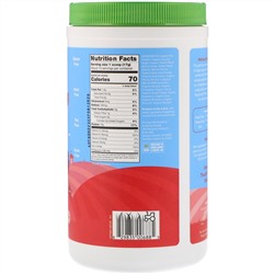 Amazing Grass, Kidz Superfood, протеин и пробиотики, клубничный взрыв, 255 г (8,9 унции)