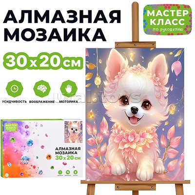 Мозаика алмазная "Милашка" 20*30см.