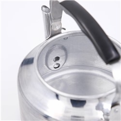 УЦЕНКА Чайник полированный 3 л.