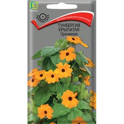 Тунбергия Крылатая Оранжевая (Код: 93430)