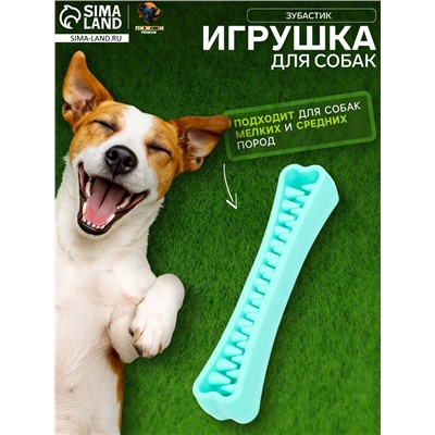 Игрушка-зубочистка для собак Пижон Premium «Зубастик», 18.3×3.8 см, цвет мятный