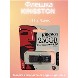 Флешка Кингстон USB 3.0 256 ГБ 60741