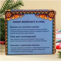 Подарочный набор новогодний «Будьте здоровы»: чай тонизирующий 20 г, варенье из сосновых шишек 30 г, бальзам 100 мл.