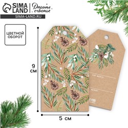 Открытка-шильдик новогодний на подарок «Шишечки», 5×9 см