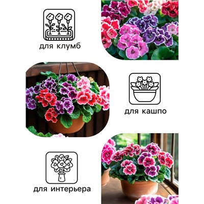 Семена комнатных цветов Глоксиния Аванти "Смесь", ц/п,  F1, 4 шт.