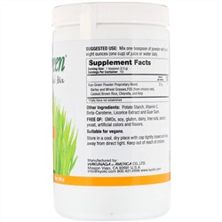 Kyolic, Kyo-Green, сухая смесь для напитка, 10 унций (283 г)