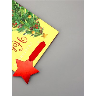 Пакет подарочный новогодний, с тиснением «Счастливого Нового года», люкс, 18×22.3×10 см