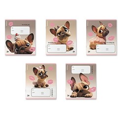 Тетрадь  18л линия "Френч" УФ-лак 64835 ErichKrause