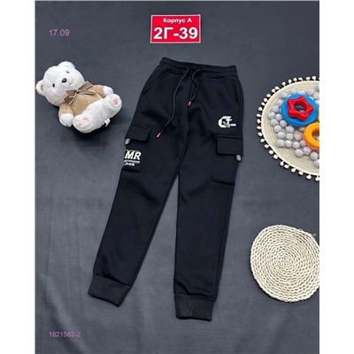 штаны с начесом 1821562-2