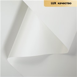 Пленка для цветов и букетов, белый, 58 см × 10 м