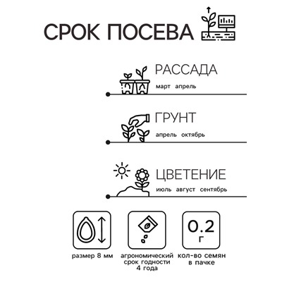 Семена цветов Астра карликовая «Тысяча чудес», тёмно-синяя, 0.2 г, однолетник, «Семена Алтая»