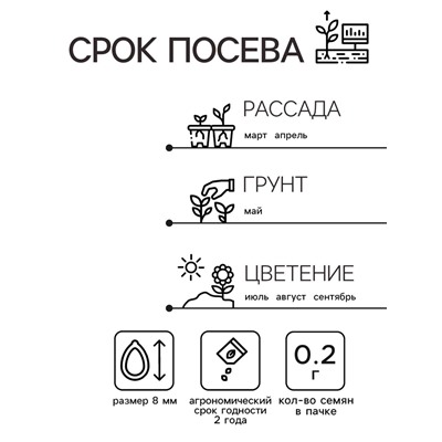 Семена Астра "Уникум (смесь", 0,2 г