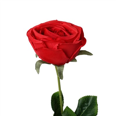 Цветок искусственный Роза 43 см красная / WSN-02 /уп 100/600/