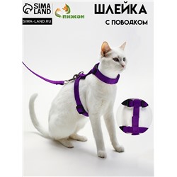 Комплект для кошек, ширина 1.5 см, ОШ 16.5-27 см, ОГ 21-35 см, поводок 120 см, фиолетовый