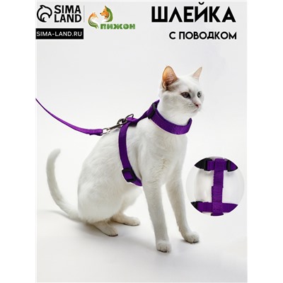 Комплект для кошек, ширина 1.5 см, ОШ 16.5-27 см, ОГ 21-35 см, поводок 120 см, фиолетовый