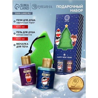 Новогодний подарочный набор косметики Gift for you: гель для душа 2 шт. × 100 мл, мочалка для тела, URAL LAB