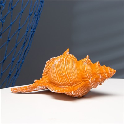 Фигурка полистоун «Ракушка», 23×11×10 см