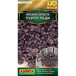 1498A Ирезине Пурпл леди 5 шт