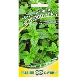 Мята Ясная нотка садовая (Код: 85098)