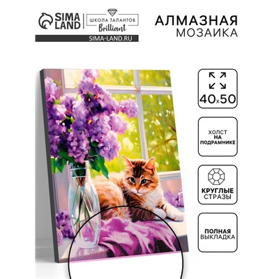 Алмазная вышивка полное заполнение «Рыжий кот», на раме, 40×50 см