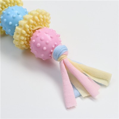 Игрушка жевательная Пижон Premium на верёвке, 5 элементов, термопластичная резина, МИКС