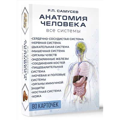 АСТ Самусев Р.П. "Анатомия человека. 80 карточек. Все системы"