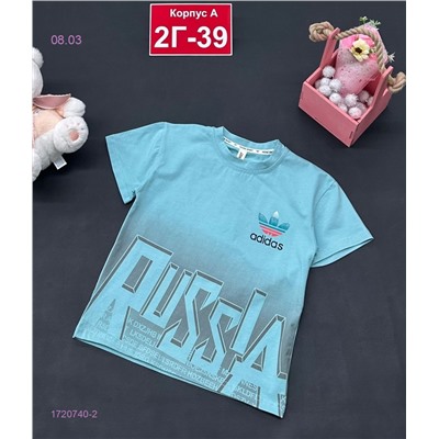 футболка 1720740-2