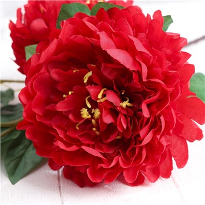 Цветы искусственные «Пион кустовой», 5 бутонов, 15×110 см, красные