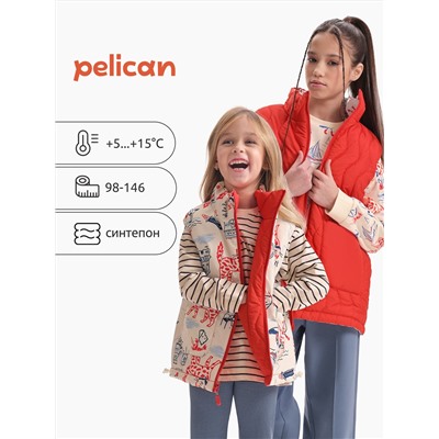 PELICAN Жилет