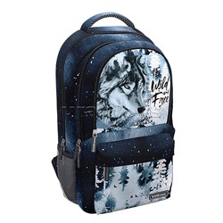 Рюкзак "ActiveLine" Ergoback с тремя отделениями 22L Timber Wolf