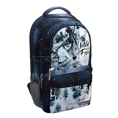 Рюкзак "ActiveLine" Ergoback с тремя отделениями 22L Timber Wolf