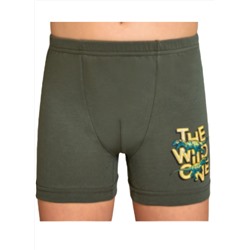 Трусы для мальчика Berrak