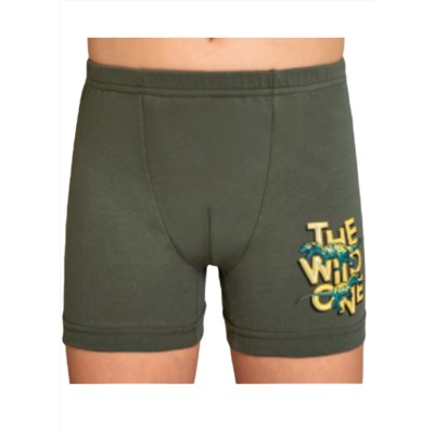 Трусы для мальчика Berrak